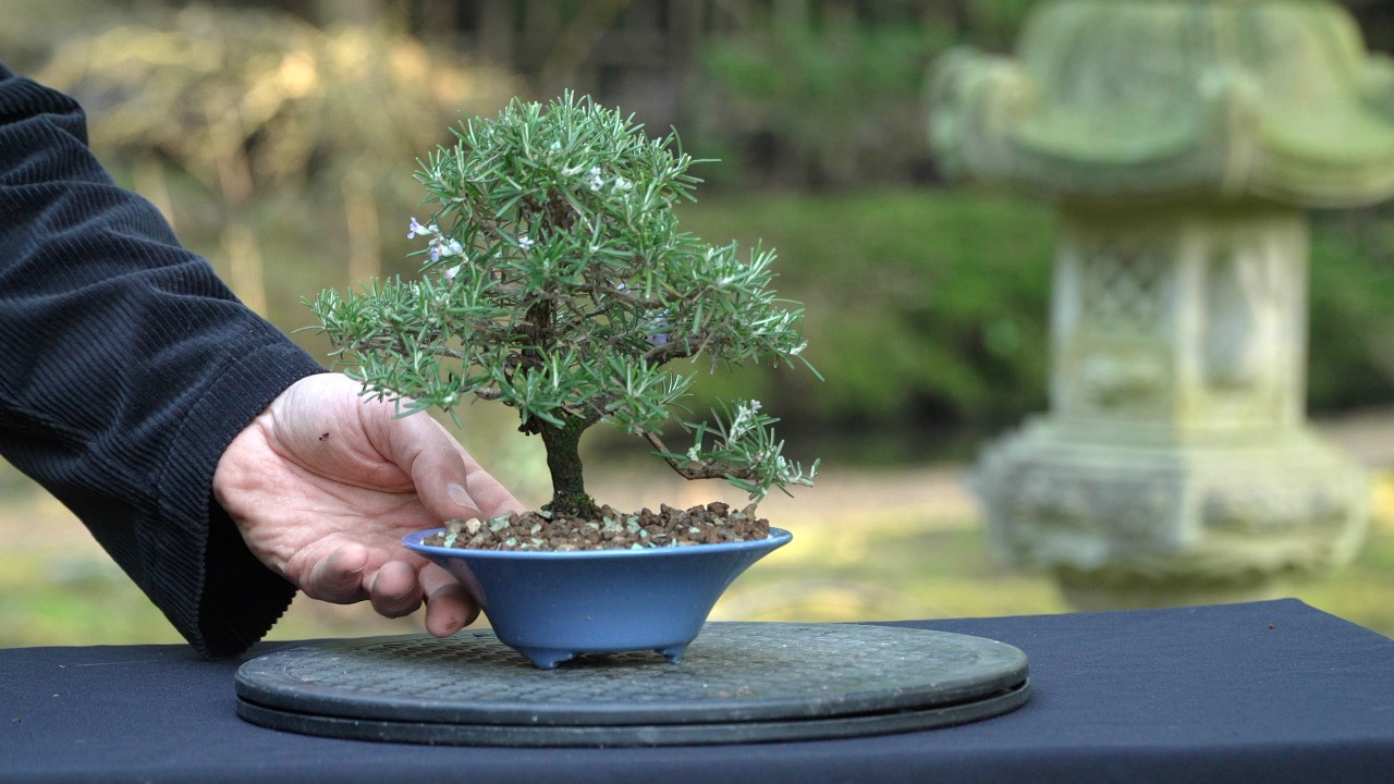 ghibli bonsai fountains Official Ghibli Spirited Away Water Garden/Fountain • No Face Kaonashi  Bonsai Home Decor/Interior Diorama main image 1