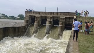 கொசு வலையில் பிடித்த மீன்கள். மூட்டை மூட்டையாக தூக்கிய நண்பர்கள் #fish  #entertainment #tamilfishing