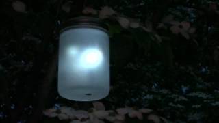 Dreamlights Fireflies In A Jar From Thinkgeek