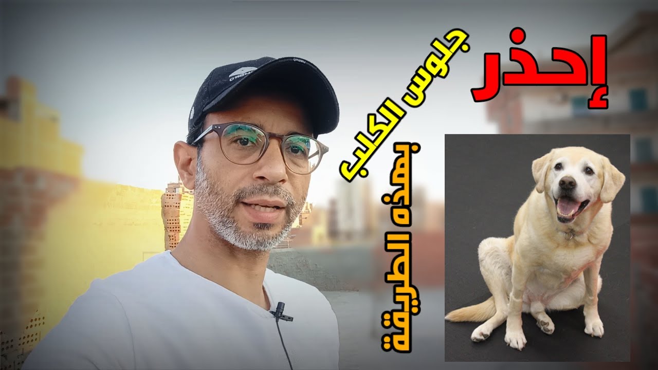 اسباب رطوبة العظام عند الكلاب والعلاج .. احذر هذا ..