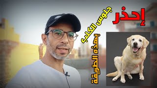 اسباب رطوبة العظام عند الكلاب والعلاج .. احذر هذا ..