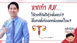 การเตรียมตัวเพื่อมีลูก และเทคโนโลยี IUI