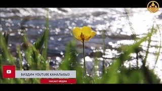 Аялзатынын даарат тууралуу суроолору. Шейх Чубак ажы Аялзатынын даарат тууралуу суроолору. Шейх Чубак ажы