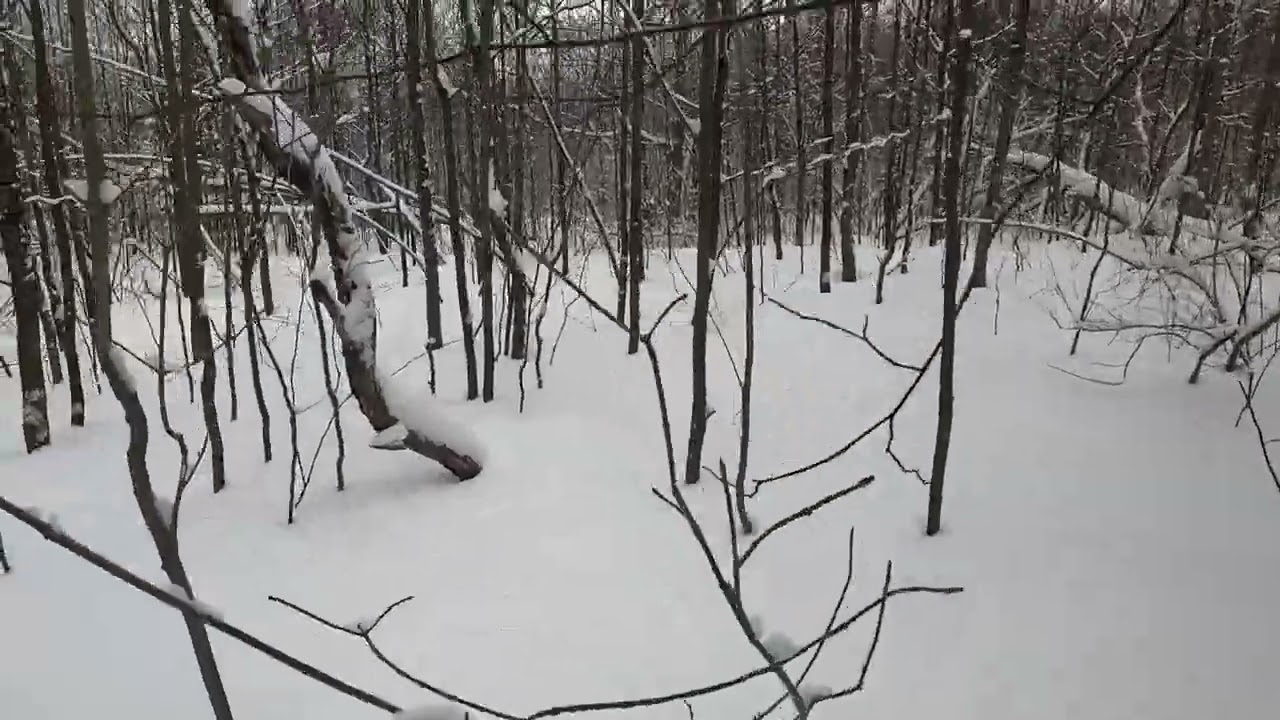 Snowshoe Trek to Find the Perfect Camp