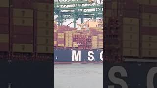 the MSC LINZIE docked at port terminal for cargo operations. #ship #fypシ