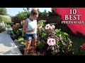 10 BEST perennials for your garden! | Lots of colorful flowers!