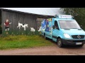 Jäätelöauto - Ice-cream car in Finland