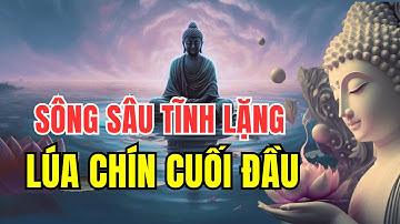 Sông Sâu Tĩnh Lặng - Lúa Chín Cuối Đầu Kể Chuyện Nhân Sinh.