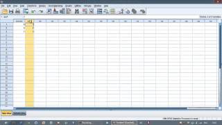 How To Create Data View & Variable View By Spss