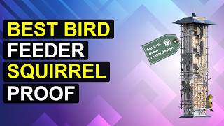 Top 5 Best Bird Feeder Squirrel Proof | Squirrel-Proof Bird Feeder Champions