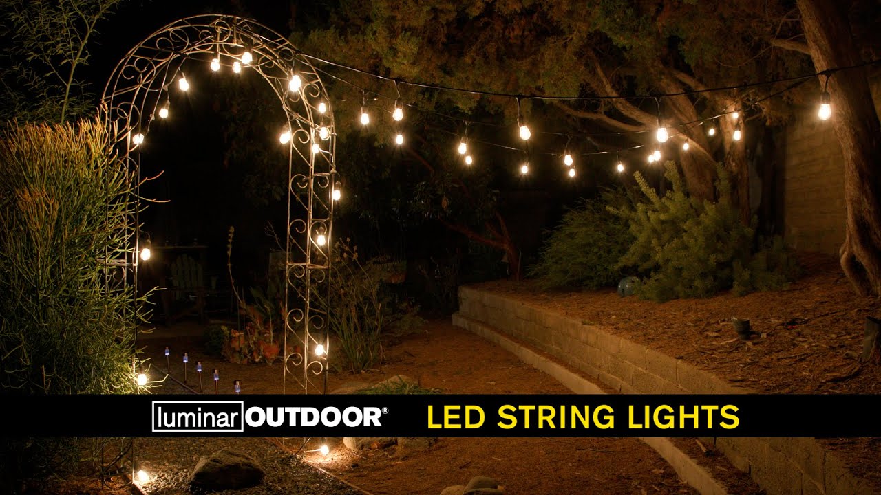 24 ft. LED Outdoor String Lights