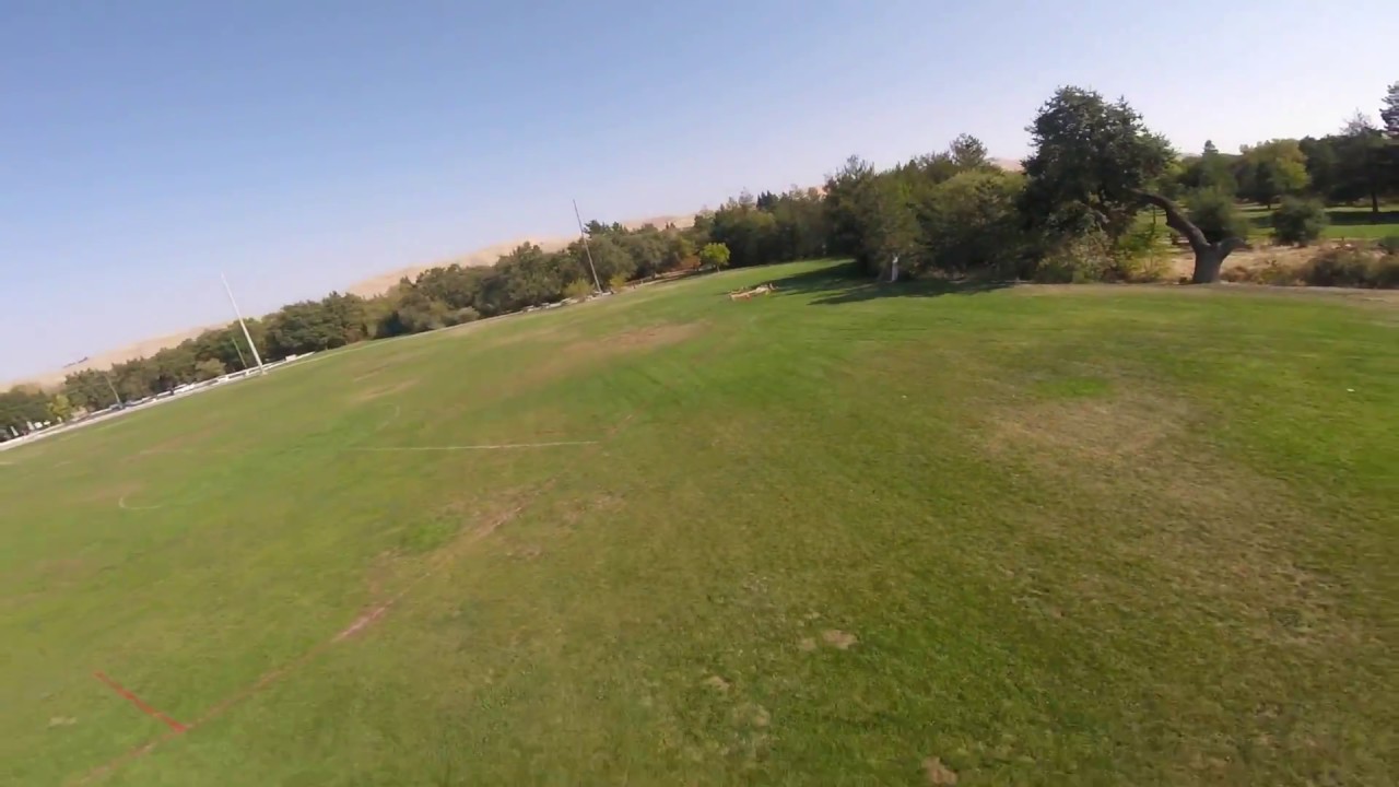 DShot 1200 In your mouth...Can I say that?