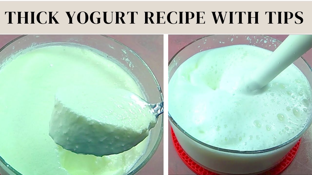 How To Make Thick Yogurt Recipe Homemade Dahi/Yogurt Recipe By