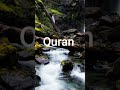 surah al kahf urdu translation Quran beautiful ❤️ #quranurdutranslation #quran #viralvideo #قرآن
