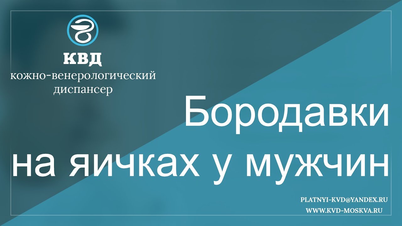 Бородавки на яичках у мужчин