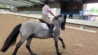 Eriders June 2021 Nicola Carr and Tremoreland Dylan Novice freestyle