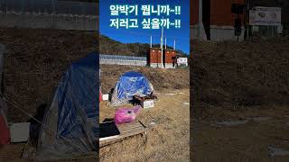 #북천교 #알박기텐트 #노지차박