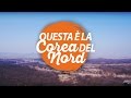 VIDEO ILLEGALI IN COREA DEL NORD // Giornata alla DMZ