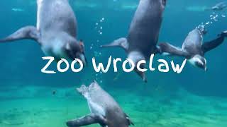 ZOO Wrocław