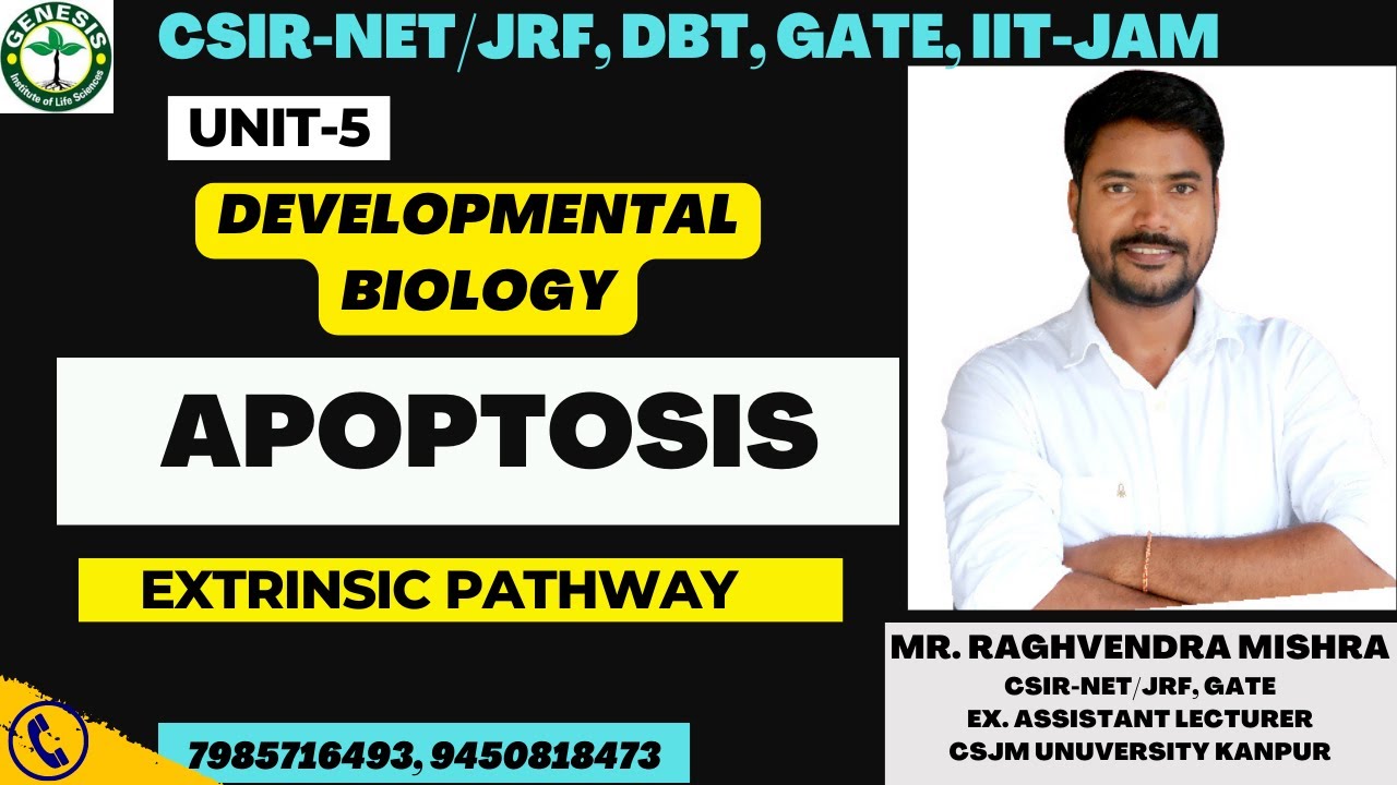 #Apoptosis |Extrinsic  Pathway | Developmental biology | L-26 | Genesis institute of life science