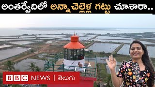 Antarvedi: గోదావరి సముద్రంలో కలిసే చోట ఆకట్టుకునే 'అన్నాచెల్లెళ్ల గట్టు'ను మీరు చూశారా? | BBC Telugu