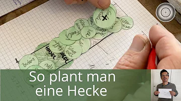 Wie kann man eine Hecke eingehen lassen?