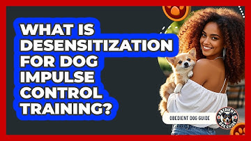 What Is Desensitization For Dog Impulse Control Training? - Obedient Dog Guide