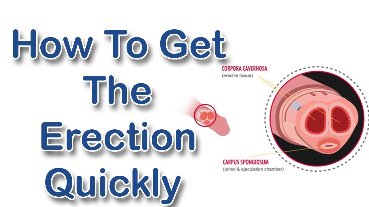 How To Get An Erection Quickly Get Hard And Quick