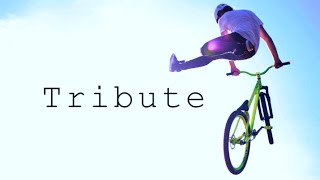 Minimal Movies 2015 Tribute - MTB Street/Park/Dirt - 2016 [HD]