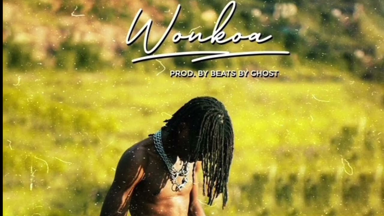 Brayn Scott - WonKoa (Official Audio)