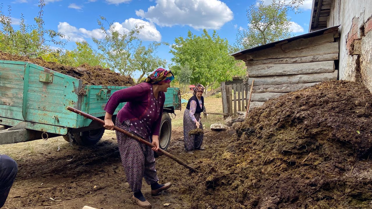 Деревенская жизнь в Турции. Тяжёлая жизнь в горах. Документальный фильм.