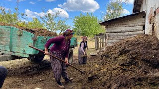 видео: Деревенская жизнь в Турции. Тяжёлая жизнь в горах. Документальный фильм. картинка: Деревенская жизнь в Турции. Тяжёлая жизнь в горах. Документальный фильм.