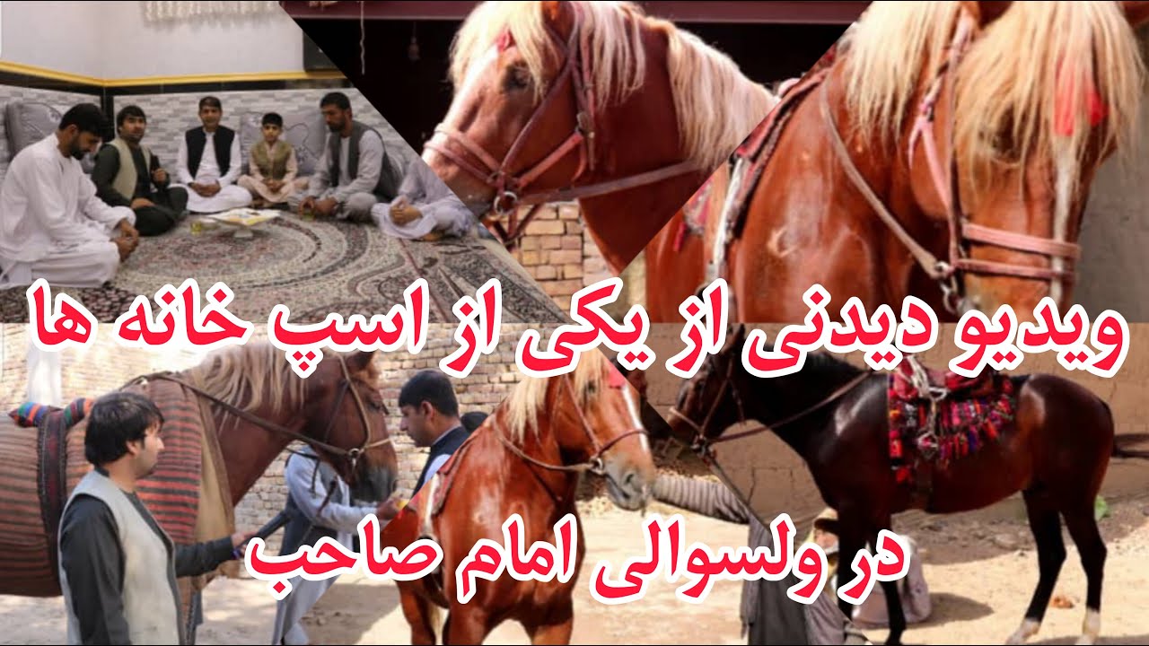 جمعه خان ظاهری در اسپ خانه رئیس نورآغا ناصری دید وادید و گفتنی های جالب در این ویدیو