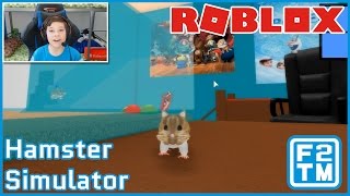 Oh, My Its Cute Hamster Overload In Roblox Hamster Simulator