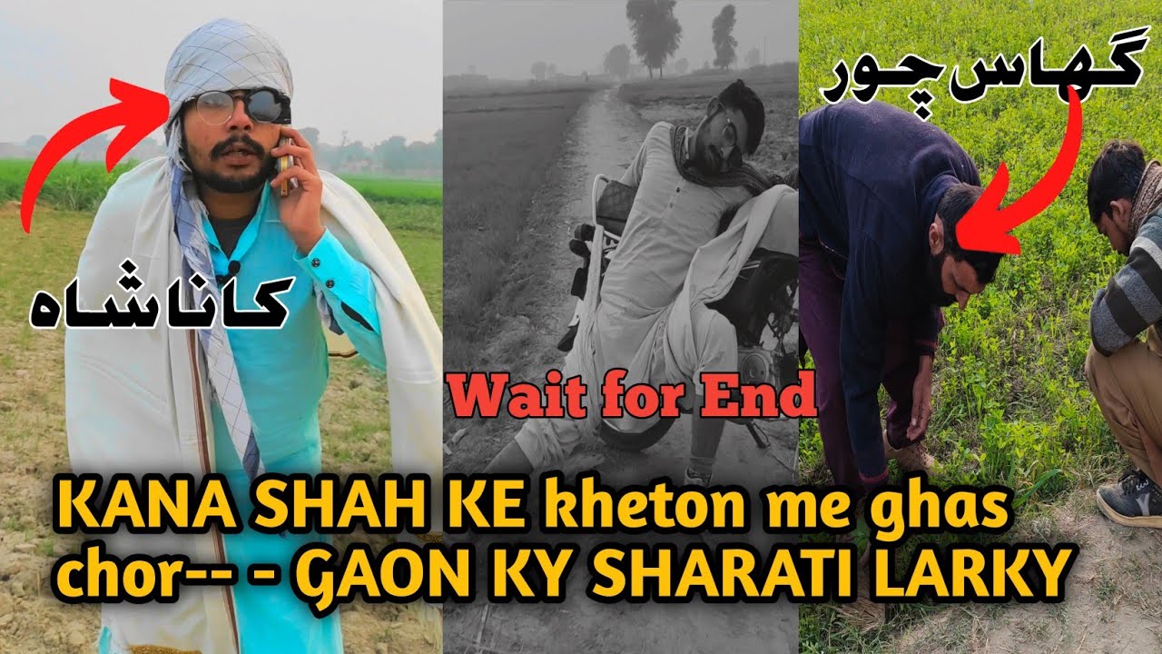 KANA SHAH Ke khet mein ghas chor      GAON KY SHARATI LARKY  trending  viralvideo  funny  newvideo