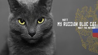 MATT - My Russian Blue Cat (Original Mix)