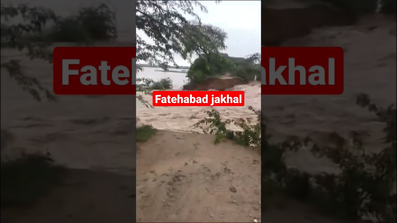 #fatehabad