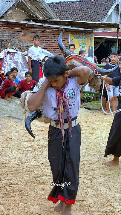Demit Bantengan Mberot #mberot #bantengan #smbarong #ndadi #kudalumping #barongan #shorts #short