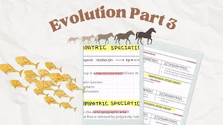 Evolution Part 3