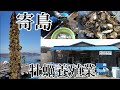 【岡山の牡蠣】瀬戸内海で育つ極上の牡蠣！