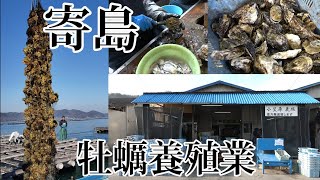 【岡山の牡蠣】瀬戸内海で育つ極上の牡蠣！