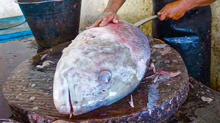 CUTTING FISH COMPILATION VIDEO || HUGE TREVALLY FISH CUTTING LIVE FISH MARKET