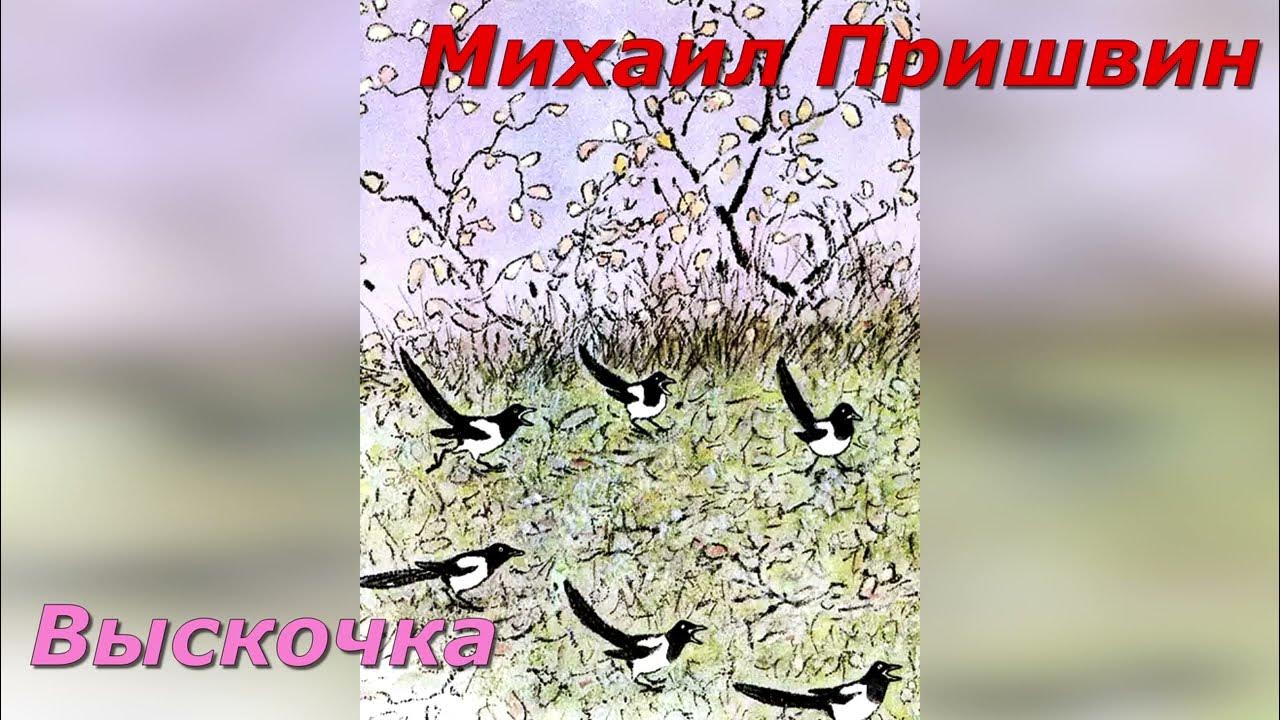 М м пришвин выскочка тест. Выскочка м пришвин аудио. Выскочка. М. пришвин. Аудиокнига.. Выскочка пришвин читать.