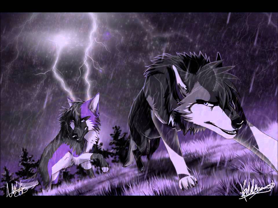 Anime Wolves ♥gravity Of Love♥ Youtube