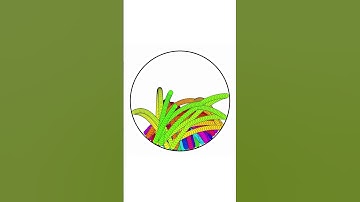 They Speed Up Every Bounce #adhd #satisfying #python #sleep #relaxing #bouncy #bouncy #ball #physics