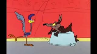 Wile E Coyote And The Road Runner In 