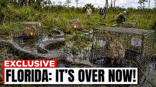 Florida Unleashed Robot Rabbits to Hunt Pythons—But What They Killed Was MUCH Worse