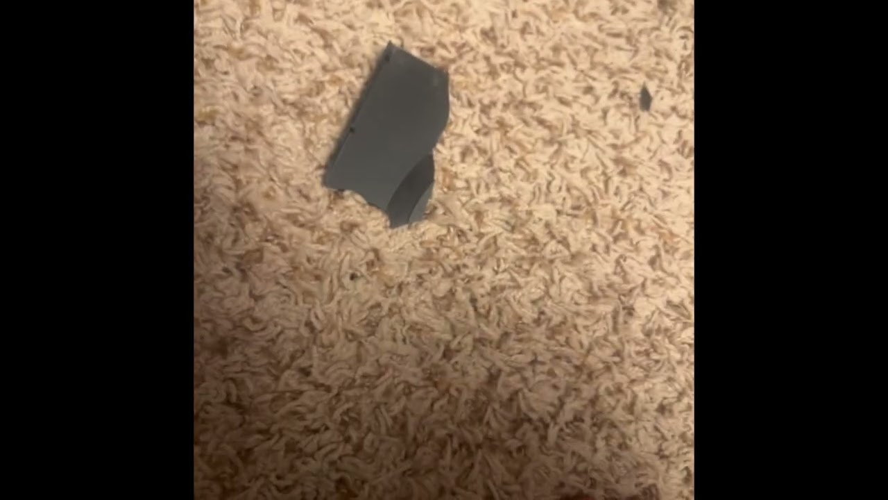 DVD Destruction #2 (READ THE VIDEO DESCRIPTION BELOW)