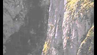 2010 vale gier.avi