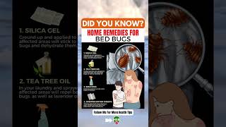 Home Remedies for Bed Bugs